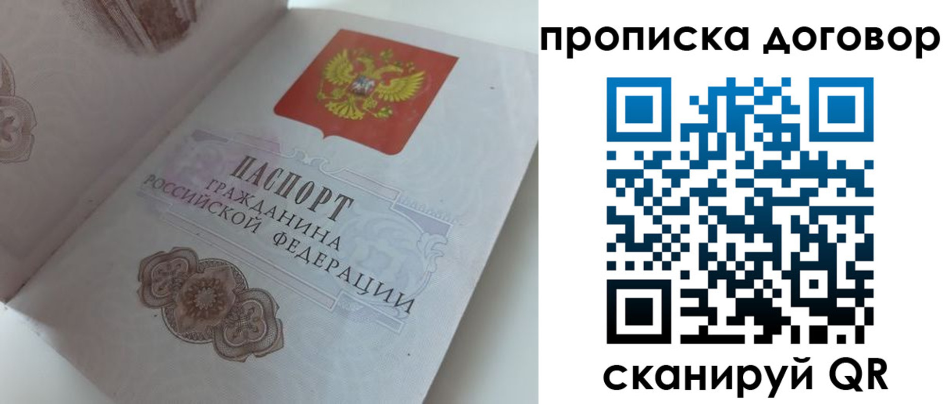 прописка поиск в Тынде